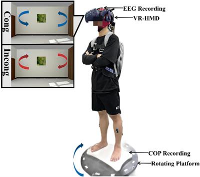Dynamic changes of brain networks during standing balance control under visual conflict